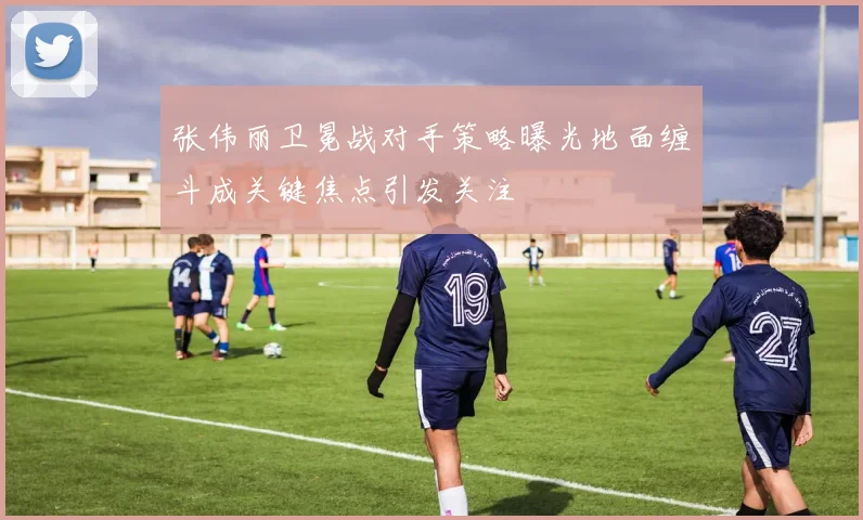 张伟丽卫冕战对手策略曝光地面缠斗成关键焦点引发关注